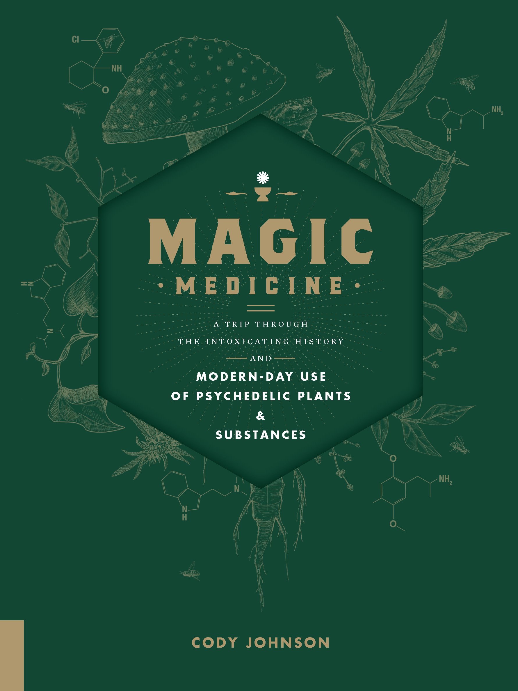 Day use. Magic Medicine. Magic in Medicine. Magical Medicine. King Pima Wolf & big Medicine - Magic man Blues (Medicine 2013).